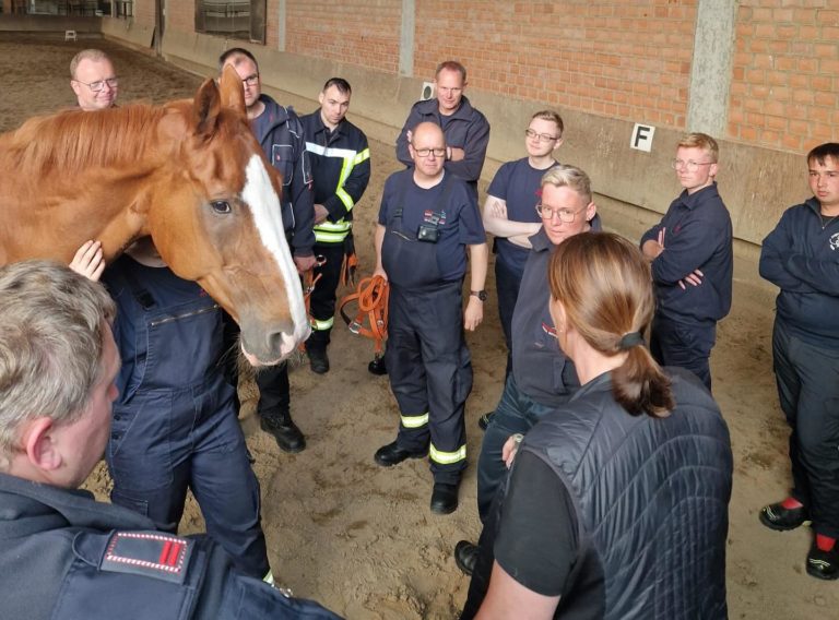 Mehr über den Artikel erfahren 🐎 Löschgruppendienst – Tierrettung